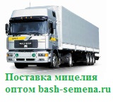 Баннер